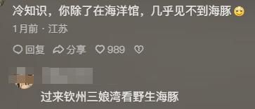 !看完分享直接颠覆认知笑到停不下来新葡京海豚竟是海里最色的哺乳动物(图2)